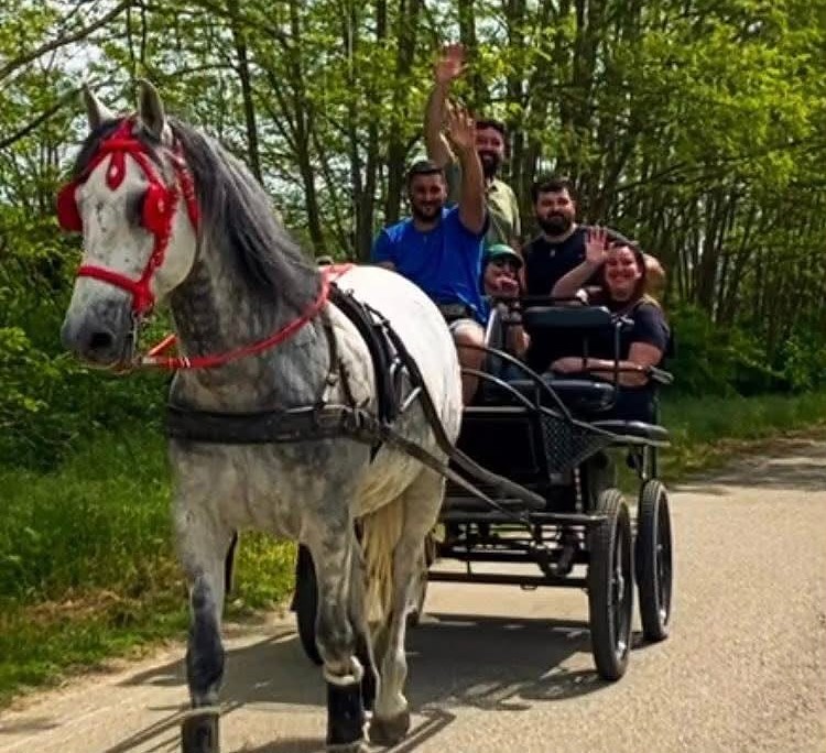 La carrozza del ranch trainata dai cavalli