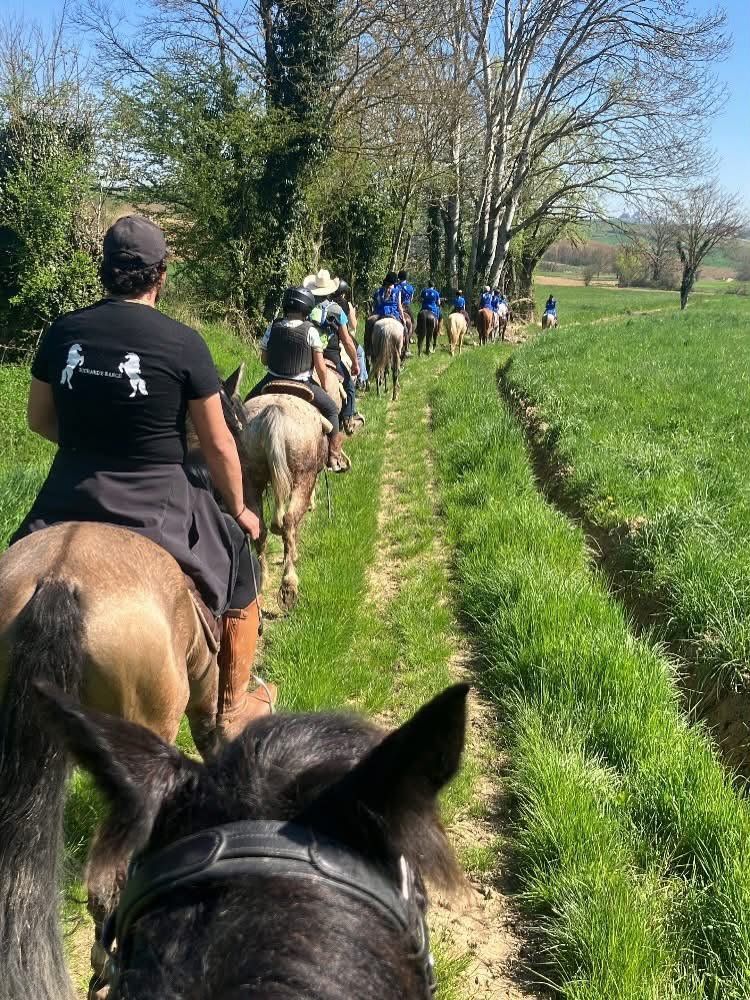 Uscita di gruppo a cavallo lungo i sentieri, vista dalla sella