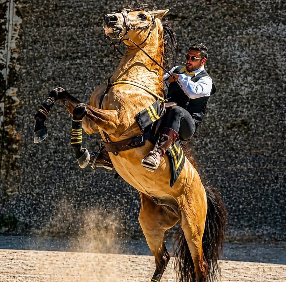 Spettacolo equestre di alta scuola spagnola al ranch