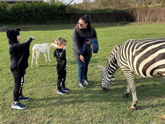I bambini incontrano Jago, la zebra