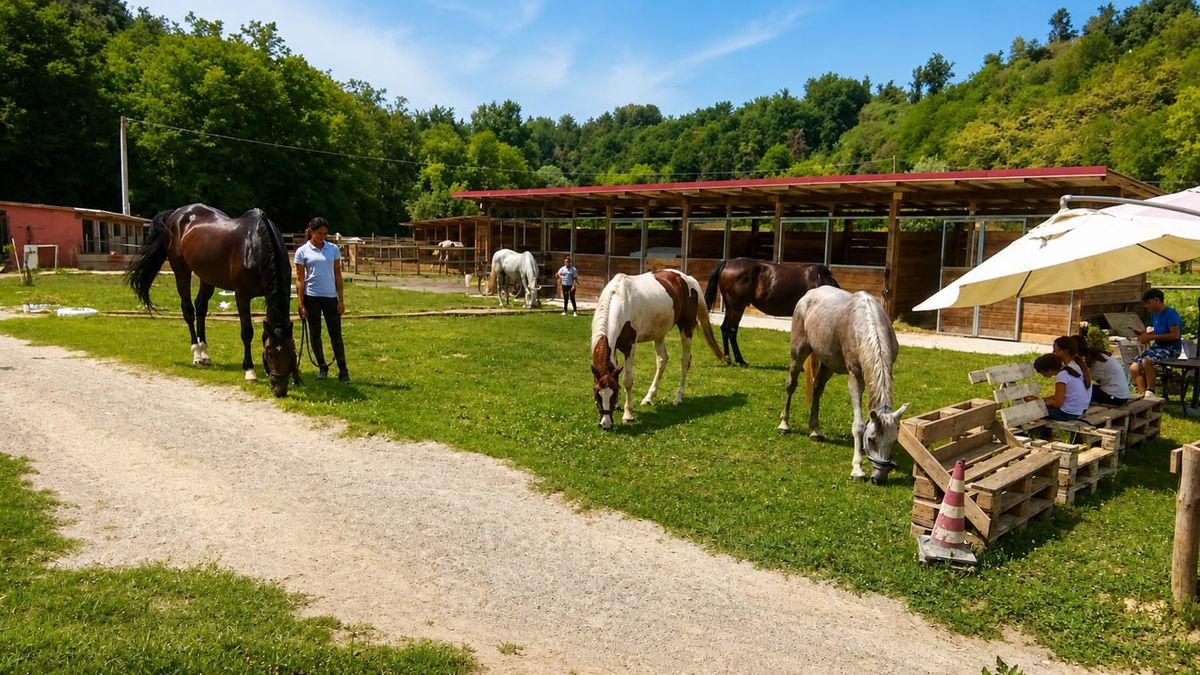 Il ranch visto dal viale, con le tettoie e i cavalli