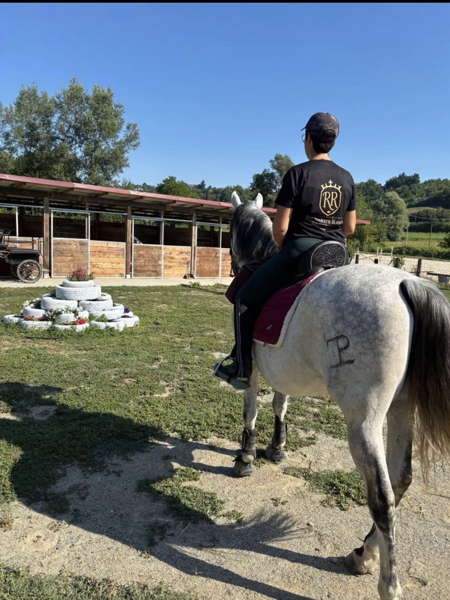 La cura quotidiana dei cavalli al ranch